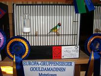 Europagruppensieger Gouldamadine